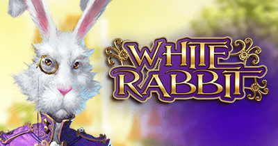 White Rabbit at Superbet